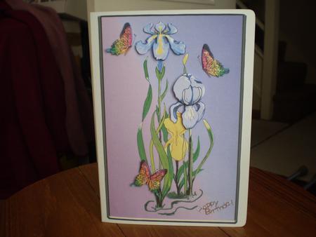 Hand Painted Irises and Butterflies by Marion West