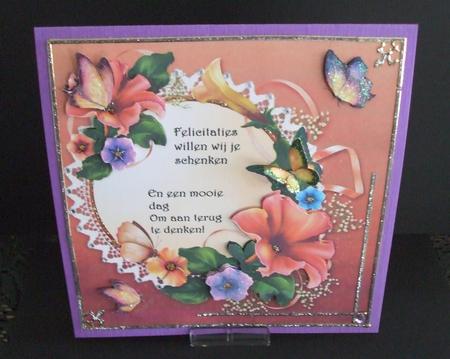 8x8 Colourful Petunias and Butterflies Featured Gallery Photo