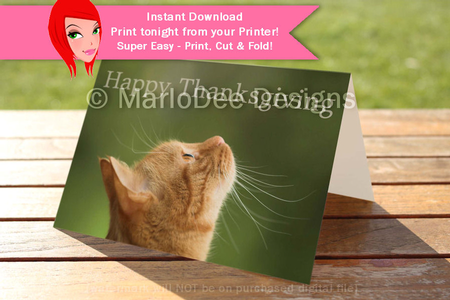Happy Thanksgiving Cat D1 Cut & Fold 5x7 Greeting Card by Marlo Patterson