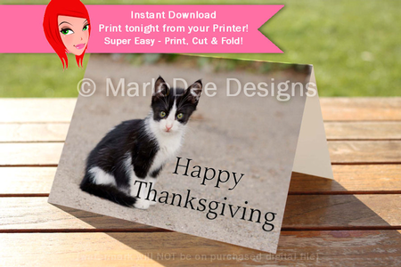 Happy Thanksgiving Cat D2 Cut & Fold 5x7 Greeting Card by Marlo Patterson