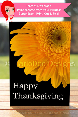 Happy Thanksgiving Orange Gerber Flower Cut & Fold 5x7 Greeting Card by Marlo Patterson