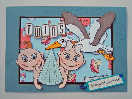 Twins by Martina Craig
