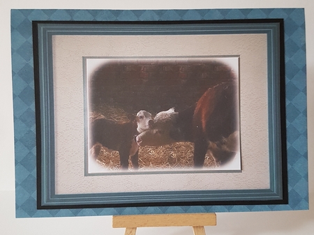 Hereford Cow & Calf Topper Sheet by Mary Brunton
