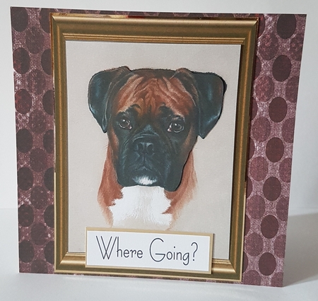  Boxer Sheet by Mary Brunton