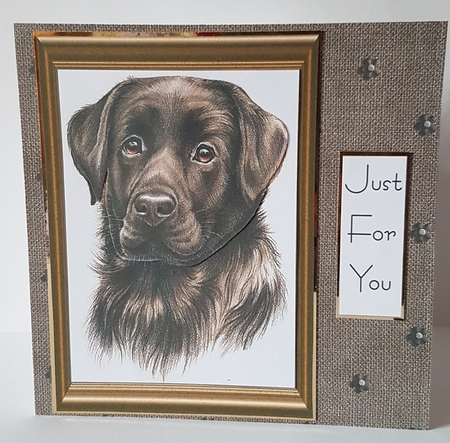  Chocolate Lab Sheet by Mary Brunton