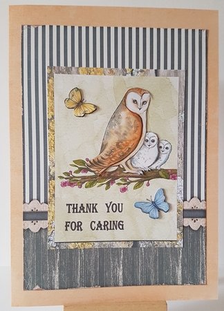 Thank You - Family Of Owls by Mary Brunton