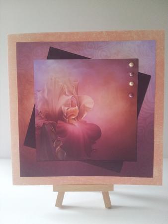 Soft and Simple Iris Card Topper by Mary Brunton