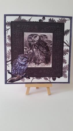 Owls and Oak Leaves Card Topper & Decoupage by Mary Brunton