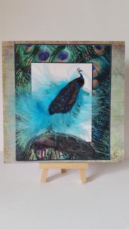 Pair of Peacocks with Decoupage by Mary Brunton
