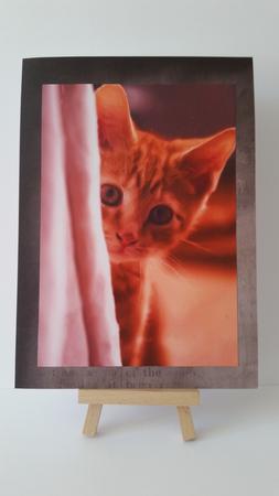 Curious Kitten Painting Oval Pyramid by Mary Brunton