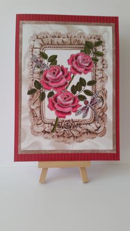 Pink Roses with Dragonflies in Frill Frame A4 by Mary Brunton