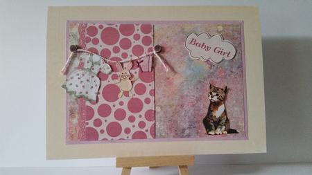 Baby Girl Laundry Side Panel Card by Mary Brunton