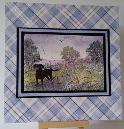 Well Plaid Winter Paper 1 by Mary Brunton