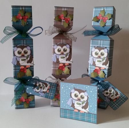 3D Little Hoot Owl Tartan Christmas Cracker Boxes by Mary Brunton