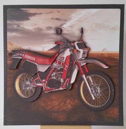 Off Road by Mary Brunton