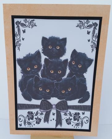 Cute Kitties with Bow in Black/whiteornate Frame by Mary Brunton