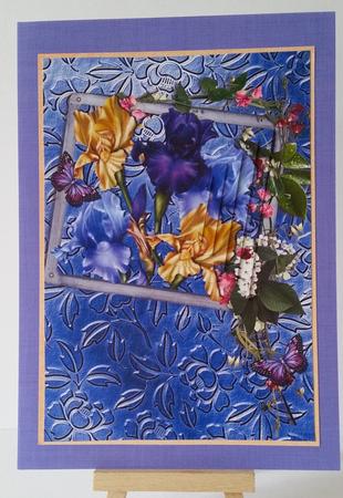 Framed Irises by Mary Brunton