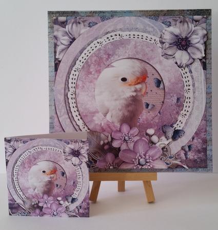 Cardtopper Cockatoo 360 by Mary Brunton