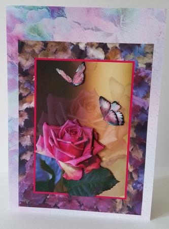 Another Rose by Mary Brunton