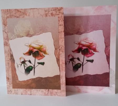 Soft Vintage Rose Toppers - Pink & Yellow by Mary Brunton