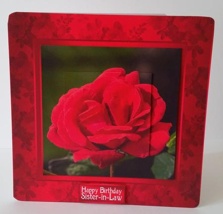 Red Rose Photo Quick Card by Mary Brunton