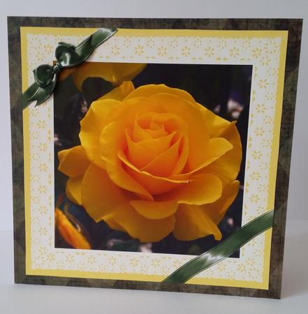 Ribbons and Lace - Yellow Rose by Mary Brunton