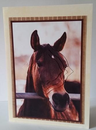 Arabian Horse Splendid Pyramid by Mary Brunton