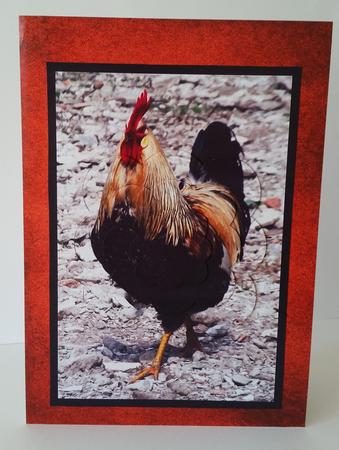 Rooster Walking Scalloped Pyramid by Mary Brunton