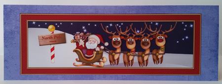 Santa Large Dl Card by Mary Brunton