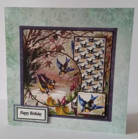 The Blue Tit by Mary Brunton