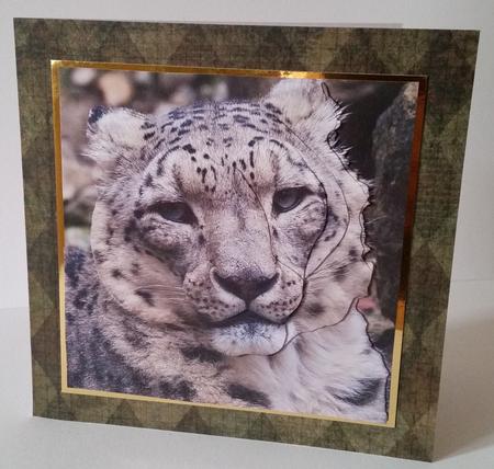Because We Love Furries - Snow Lepard + Insert & Tag by Mary Brunton