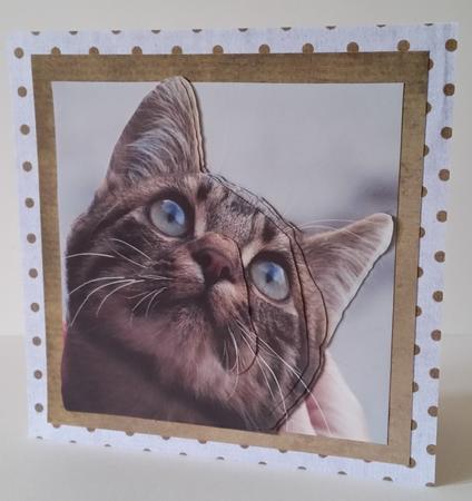 Furry Friends & Familiars - Cats - Inquisitive Decoupage + by Mary Brunton