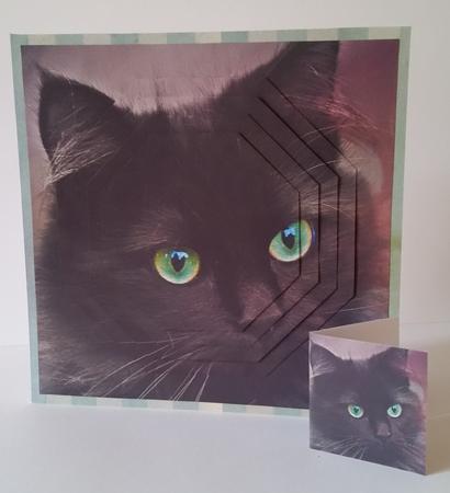 Furry Friends & Familiars - Cats - Eyes of Green +insert+tag by Mary Brunton