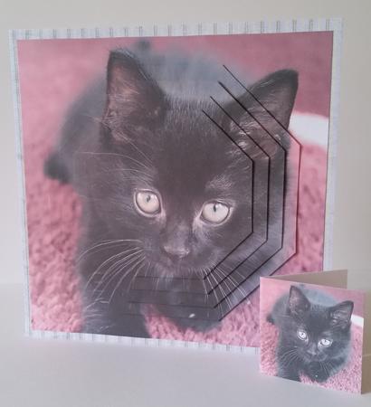 Furry Friends & Familiars - Black Kitten + Insert & Tag by Mary Brunton