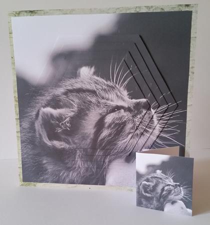 Furry Friends & Familiars - Kitten Comfort + Insert & Tag by Mary Brunton