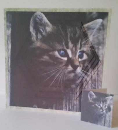 Furry Friends & Familiars - Kitten Hide Away +insert & Tag by Mary Brunton
