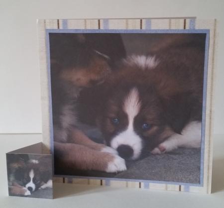 Furry Friends & Familiars - Puppy Pals + Insert & Tag by Mary Brunton