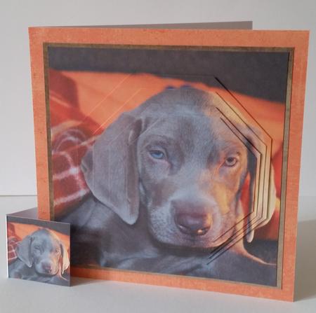 Furry Friends & Familiars - Puppy - Weimaraner + Insert+tag by Mary Brunton