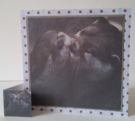 Because We Love Furries - Otter Kisses + Insert & Tag by Mary Brunton