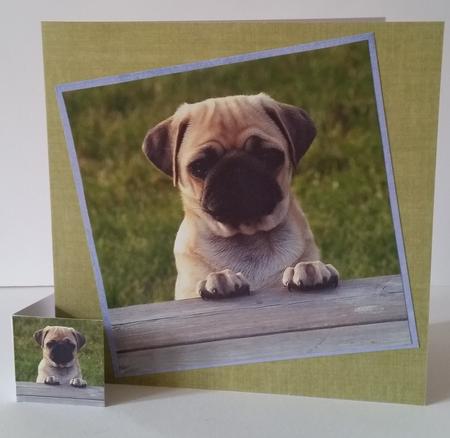 Furry Friends & Familiars - Dogs - Pug "you Called" + Tag + by Mary Brunton