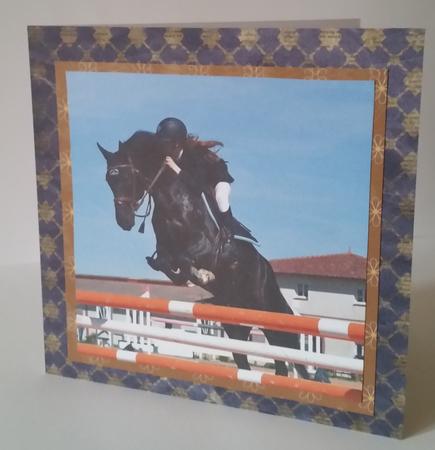 Because We Love Furries - Horses - the Joy of Leaping +tag+ by Mary Brunton