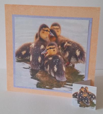 Spring Time - Eostra Easter - Duck Chicks + Tag + by Mary Brunton