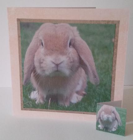 Spring Time - Eostra - Easter - Dwarf Lop Eared Rabbit +tag+ by Mary Brunton