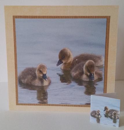 Eostra Easter - Duck Chicks +insert & Tag by Mary Brunton