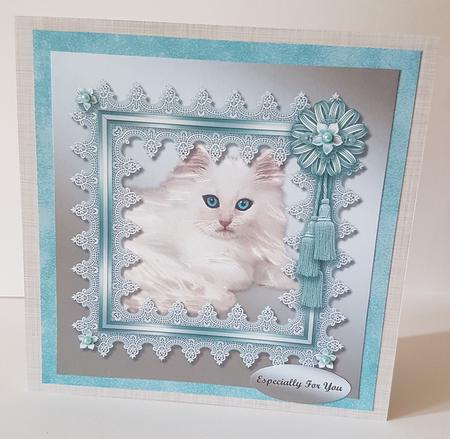 Bleu Eyed Kitten by Mary Brunton