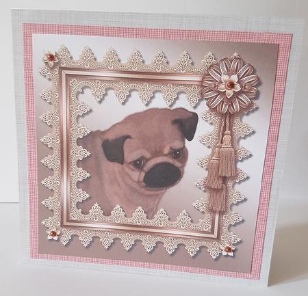 Puppy Love 3 by Mary Brunton