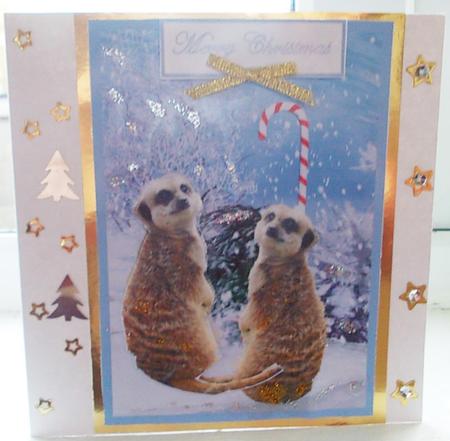 Christmas Meercats by Mary Furey