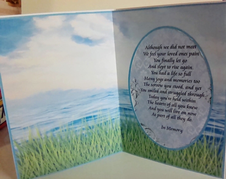 Green Grass And Open Water - Insert by Mary Lynn Cox
