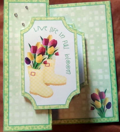 FB Life in full bloom by Mary Lynn Cox