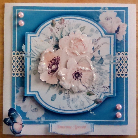 8x8 Mini Kit, Beautiful Poppy ana Roses by Mary Lynn Cox